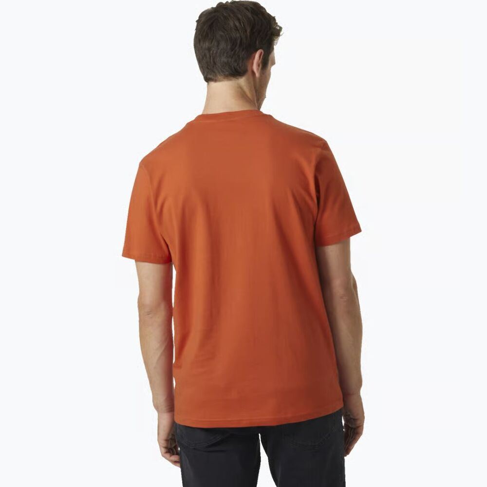 Футболка Helly Hansen Box Tee 53285-179