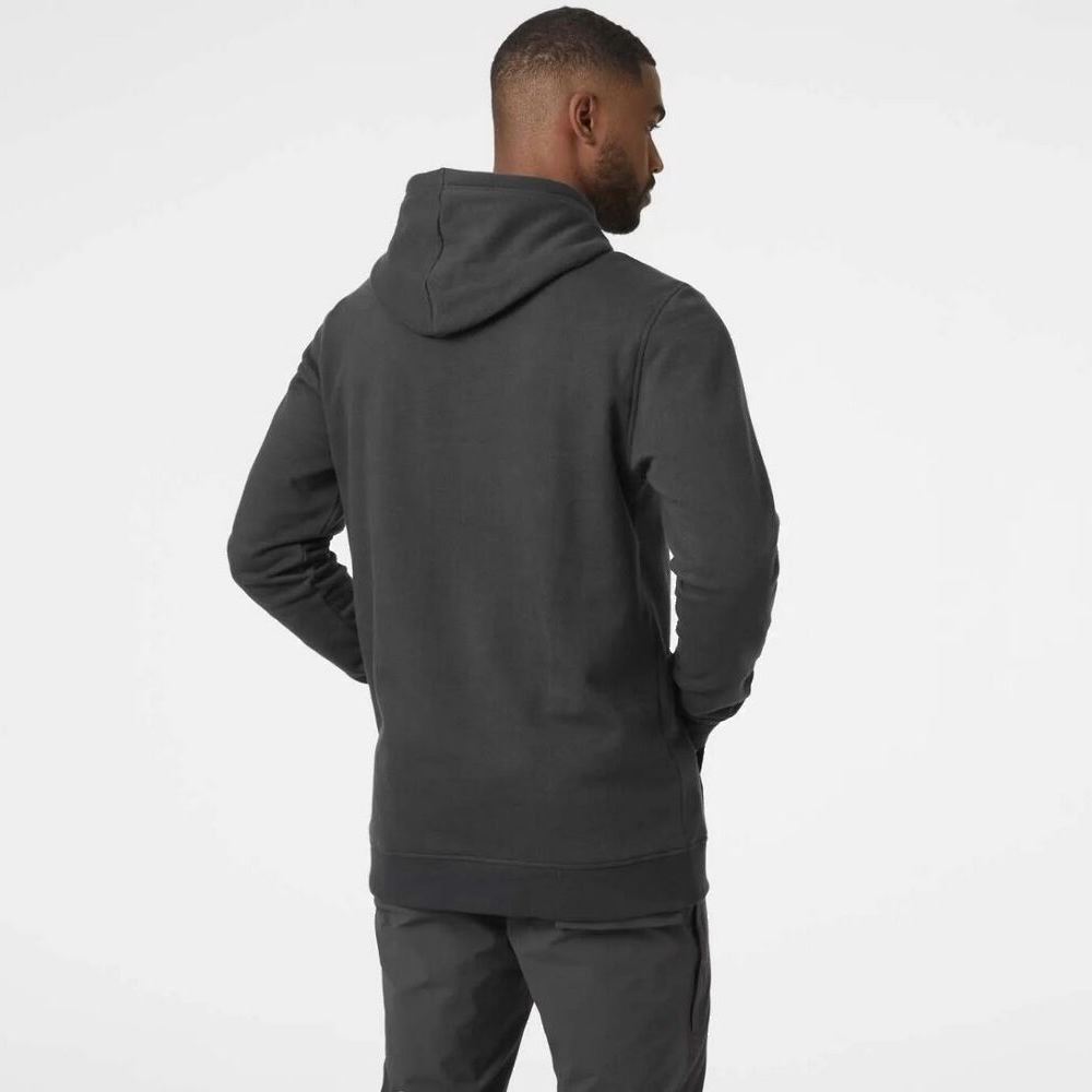 Кофта Helly Hansen Logo 62975-981
