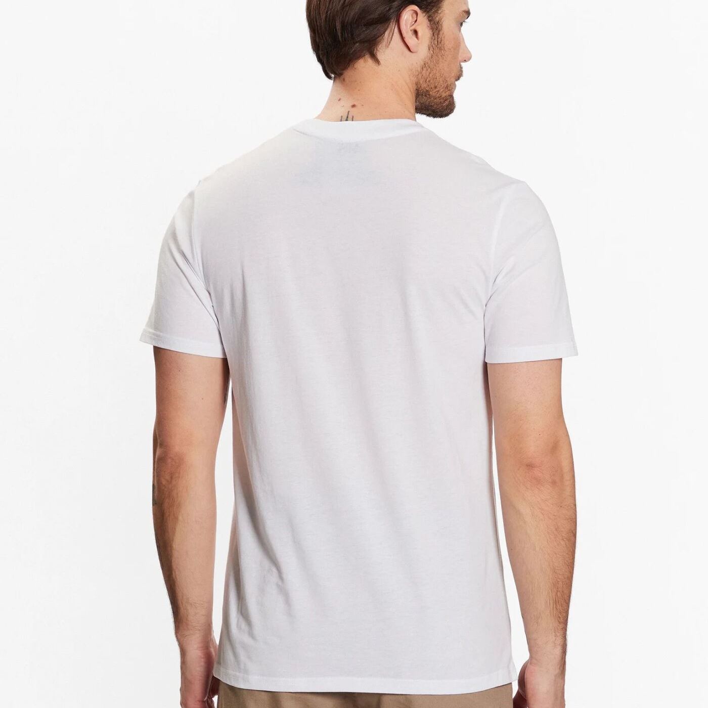 Футболка Helly Hansen Nord Graphic 62979-002