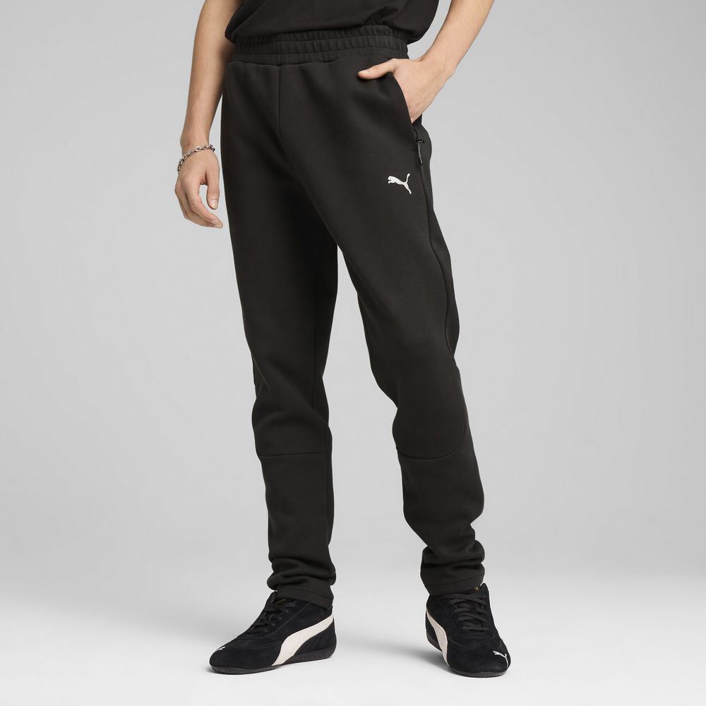 Штани Puma EvoStripe 68461401